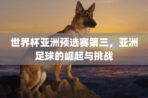 世界杯亚洲预选赛第三，亚洲足球的崛起与挑战