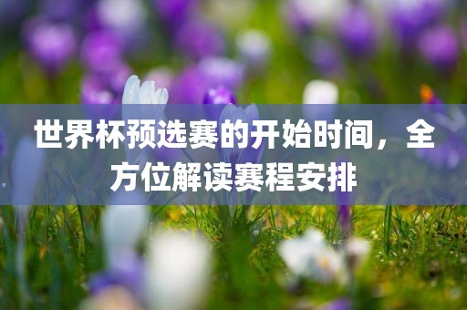世界杯预选赛的开始时间，全方位解读赛程安排眉山市正发家政服务有限公司