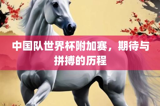 中国队世界杯附加赛，期待与拼搏的历程眉山市正发家政服务有限公司