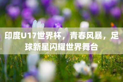 jinrou 第5页