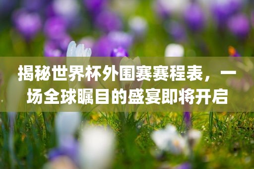 揭秘世界杯外围赛赛程表，一场全球瞩目的盛宴即将开启
