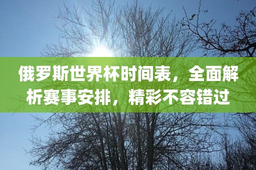 俄罗斯世界杯时间表，全面解析赛事安排，精彩不容错过