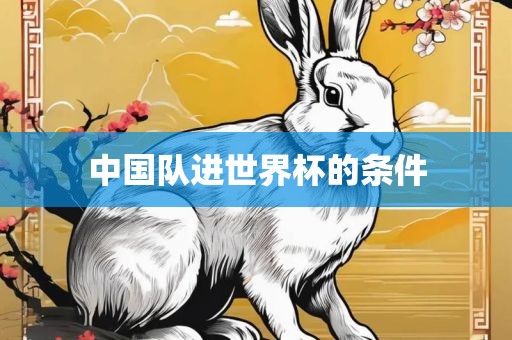 中国队进世界杯的条件