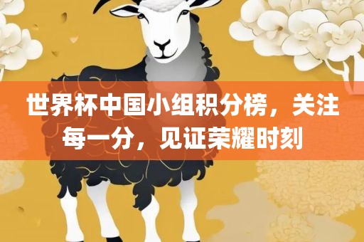 世界杯中国小组积分榜，关注每一分，见证荣耀时刻眉山市正发家政服务有限公司
