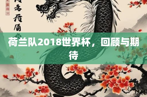 荷兰队2018世眉山市正发家政服务有限公司界杯，回顾与期待