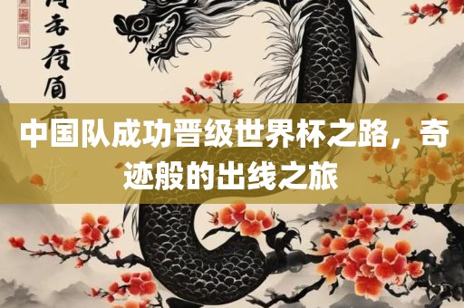 中国队成功晋级世界杯之路，奇迹般的出线之旅