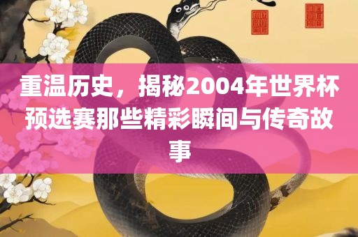 重温历史，揭秘2004年世界杯预眉山市正发家政服务有限公司选赛那些精彩瞬间与传奇故事