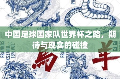 中国足球国家队世界杯之路，期待与现实的碰撞