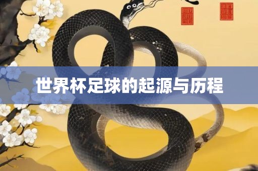 世界杯足球的起源与历程眉山市正发家政服务有限公司