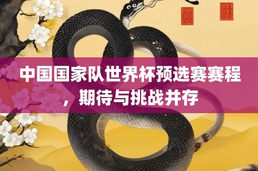 中国国家队世界杯预选赛赛程，期待与挑战并存眉山市正发家政服务有限公司
