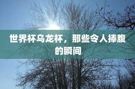世界杯乌龙杯，那些令人捧腹的瞬间
