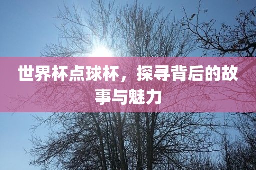 世界杯点球杯，探寻背后的故事与魅力眉山市正发家政服务有限公司