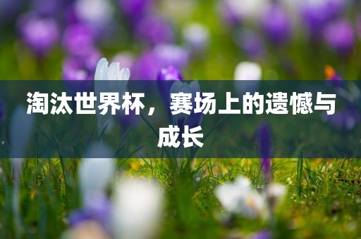 淘汰世界杯，赛场上的遗憾与成长眉山市正发家政服务有限公司