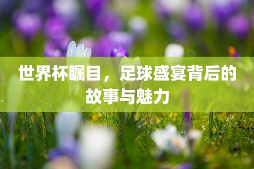 世界杯瞩目，足球盛宴背后的故事与魅力