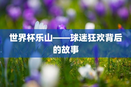 世界杯乐山——球迷狂欢背后的故事眉山市正发家政服务有限公司