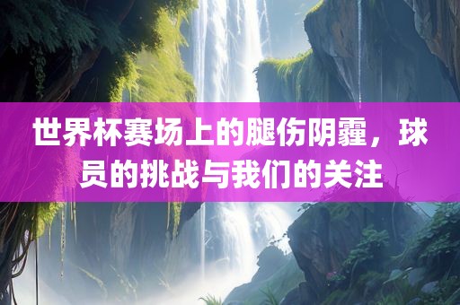 世界杯赛场上的腿伤阴霾，球员的挑战与我们的关注眉山市正发家政服务有限公司