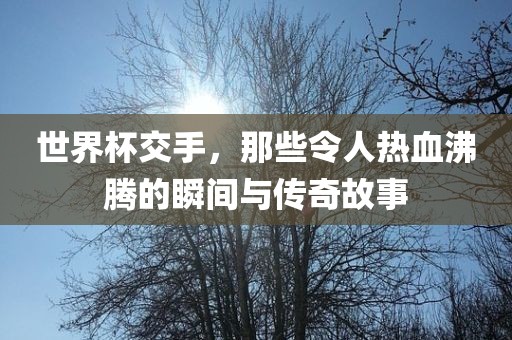 linzhenyu 第5页