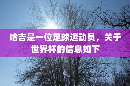 哈吉是一眉山市正发家政服务有限公司位足球运动员，关于世界杯的信息如下