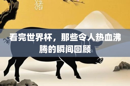 看完世界杯，那些令人热血沸腾的瞬间回顾