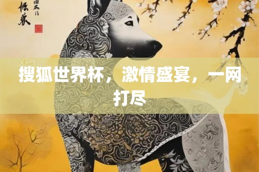 搜狐世界杯，激情盛宴，一网打尽