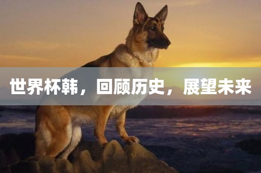 世界杯韩，回顾历史，展望未来