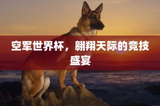 空军世界杯，翱翔天际的竞技盛宴眉山市正发家政服务有限公司