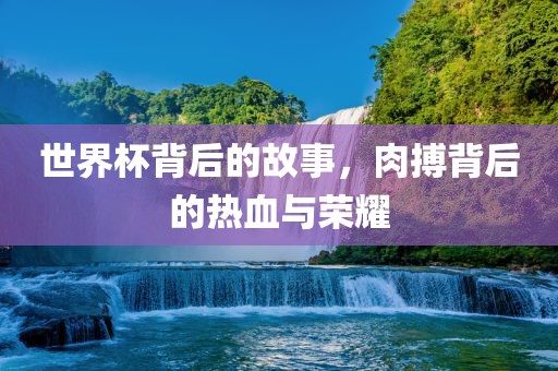 世界杯背后的故事，肉搏背后的热血与荣耀眉山市正发家政服务有限公司