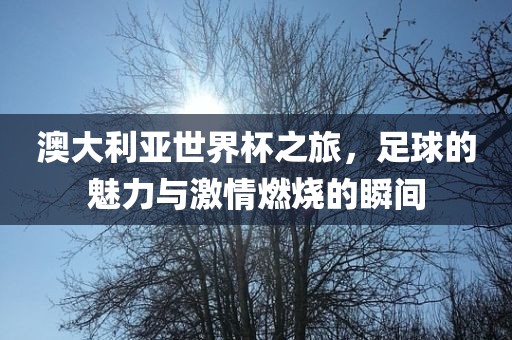 taohe 第4页