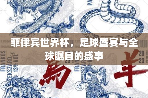 菲律宾世界杯，足球盛宴与全球瞩目的盛事眉山市正发家政服务有限公司