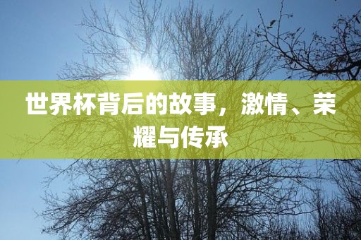 世界杯背后的故事，激情、荣耀与传承眉山市正发家政服务有限公司