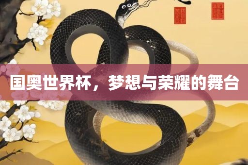 国奥世界杯，梦想与荣耀的舞台