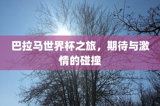 巴拉马世界眉山市正发家政服务有限公司杯之旅，期待与激情的碰撞