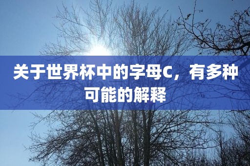 关于世界杯中的字母C，有多种可能的解释眉山市正发家政服务有限公司