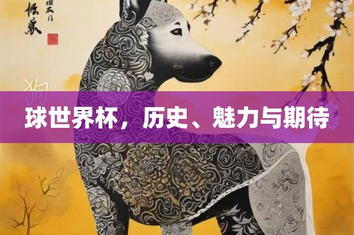 球世界杯，历史、魅力与期待眉山市正发家政服务有限公司