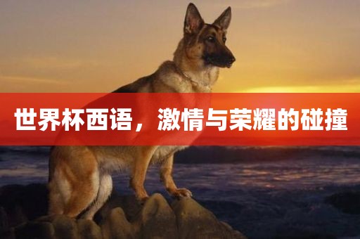 世界杯西语，激情与荣耀的碰撞眉山市正发家政服务有限公司