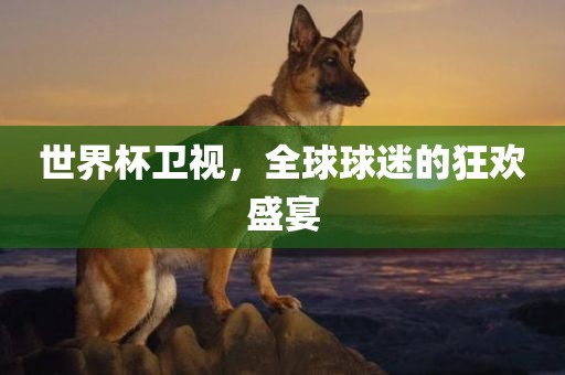 世界杯卫视，全球球迷的狂欢盛宴