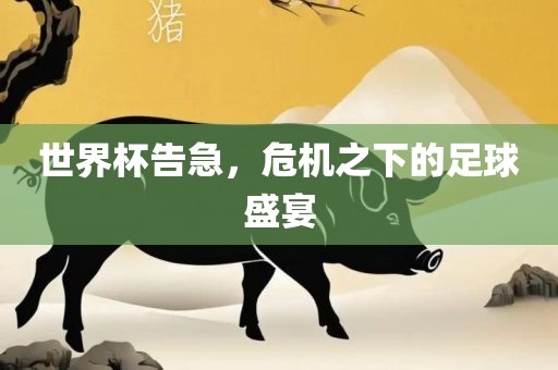 世界杯告急，危机之下的足球盛宴眉山市正发家政服务有限公司