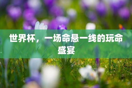 世界杯，一场命悬一线的玩命盛宴眉山市正发家政服务有限公司