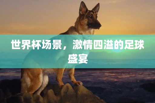 足球盛宴 第6页