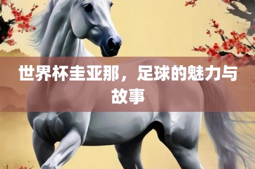 世界杯圭亚那，足球的魅力与故事