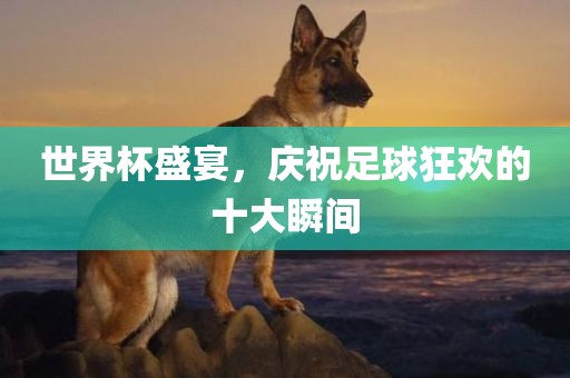 世界杯盛宴，庆祝足球狂欢的十大瞬间
