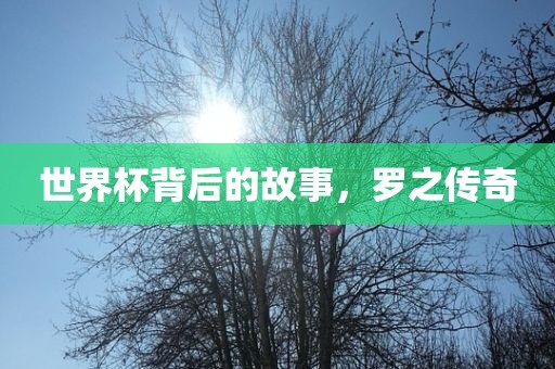 houyingru 第4页