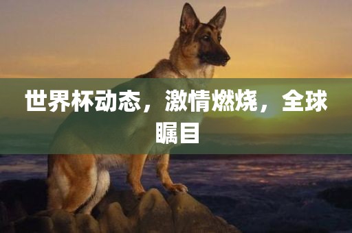 世界杯动态，激情燃烧，全球瞩目