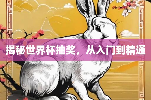揭秘世界杯抽奖，从入门到精通