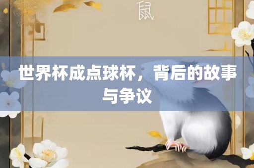 世界杯成点球杯，眉山市正发家政服务有限公司背后的故事与争议