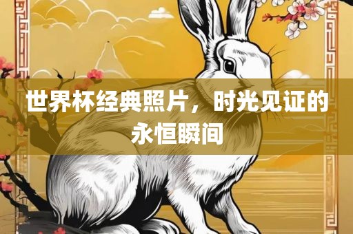 世界杯眉山市正发家政服务有限公司经典照片，时光见证的永恒瞬间