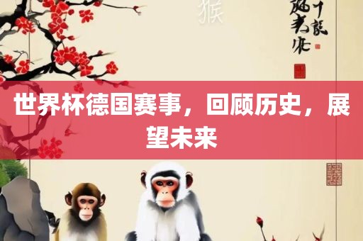 世界杯德眉山市正发家政服务有限公司国赛事，回顾历史，展望未来