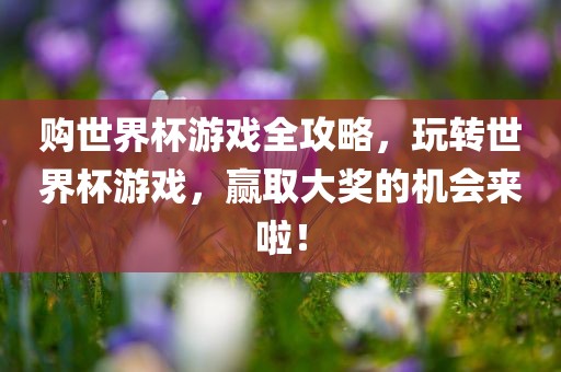 购世界杯游戏全攻略，玩转世界杯游戏，赢取大奖的机会眉山市正发家政服务有限公司来啦！