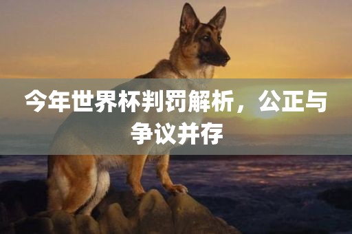 今年世界杯判罚解析，公正与争议眉山市正发家政服务有限公司并存