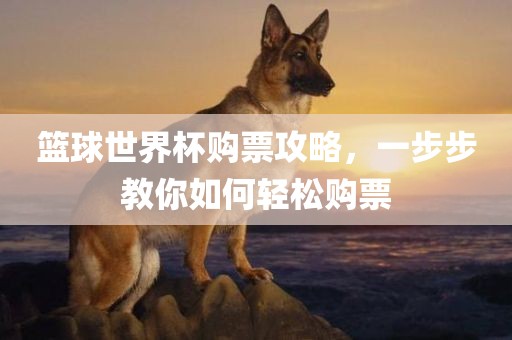 篮球世界杯购票攻略，一步步教你如何轻松购票眉山市正发家政服务有限公司